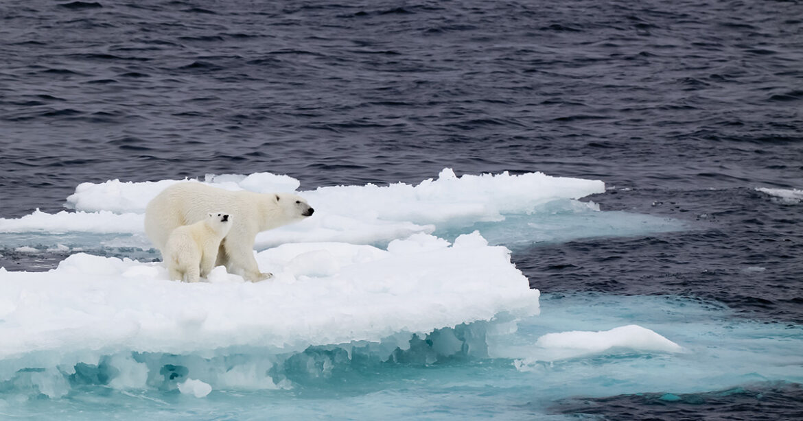 Reasons Why Climate Change Is The Most Urgent Issue